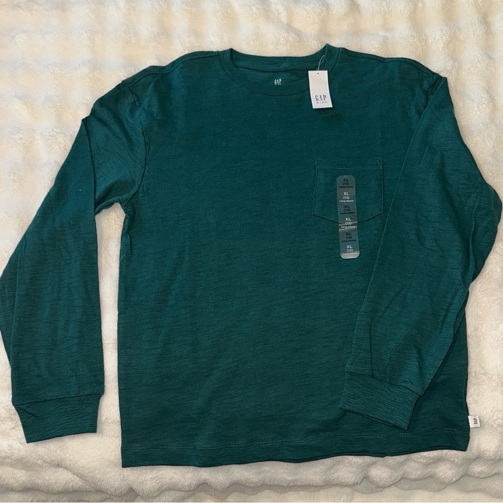 GAP Men's Teal Long Sleeve Tee